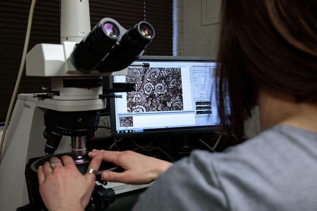 A woman at a microscope looks at projected slides of snail fossils on a computer screen